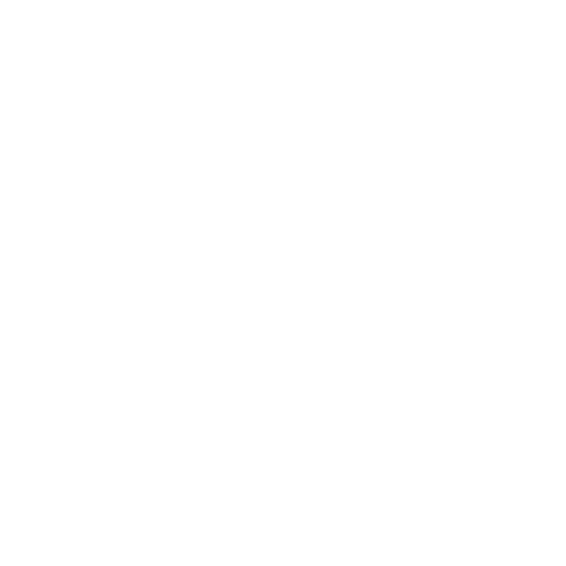 Free delivery worldwide